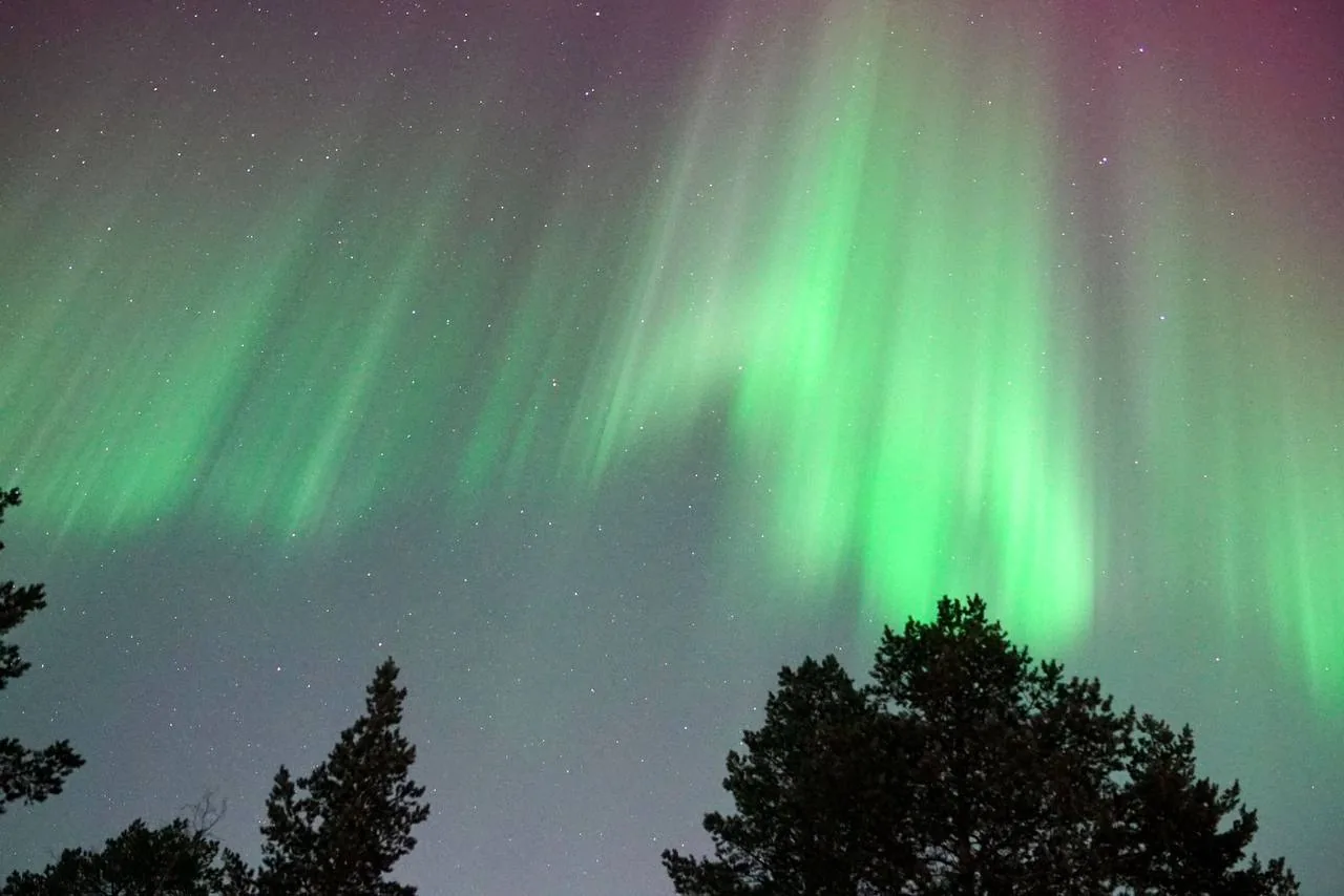Северное сияние под Мурманском — фото 7 из тура Aurora Trip