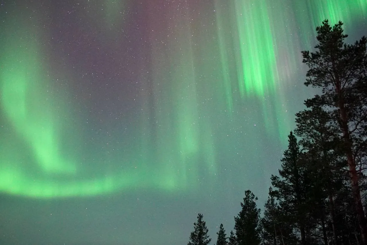 Северное сияние под Мурманском — фото 21 из тура Aurora Trip
