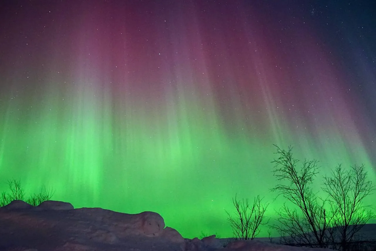 Северное сияние под Мурманском — фото 22 из тура Aurora Trip