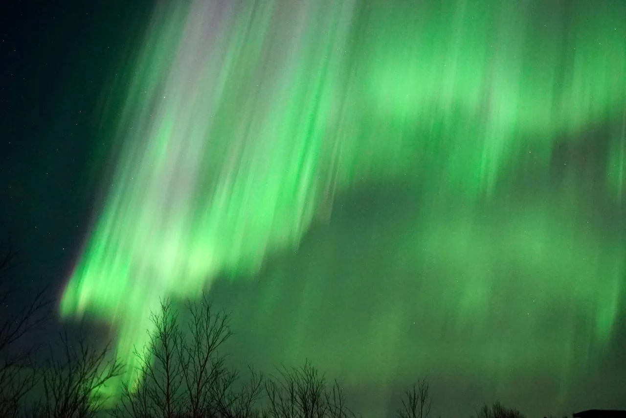 Северное сияние под Мурманском — фото 24 из тура Aurora Trip