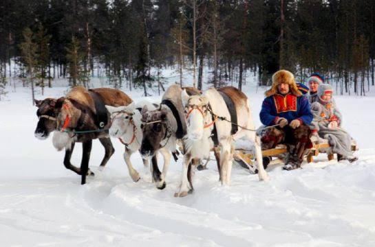 Саамская деревня зимой — катание на оленях